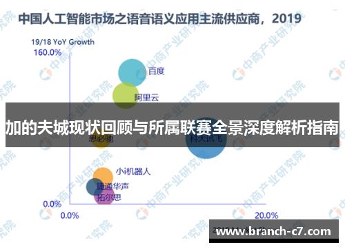 加的夫城现状回顾与所属联赛全景深度解析指南 加的夫城现状回顾与所属联赛全景深度解析指南