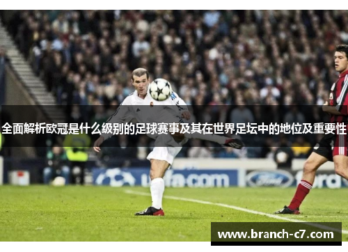 全面解析欧冠是什么级别的足球赛事及其在世界足坛中的地位及重要性