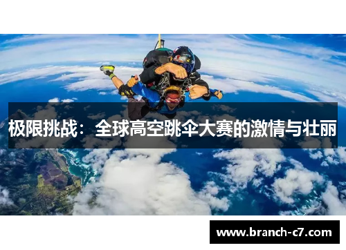 极限挑战：全球高空跳伞大赛的激情与壮丽