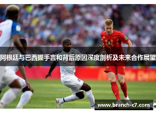 阿根廷与巴西握手言和背后原因深度剖析及未来合作展望